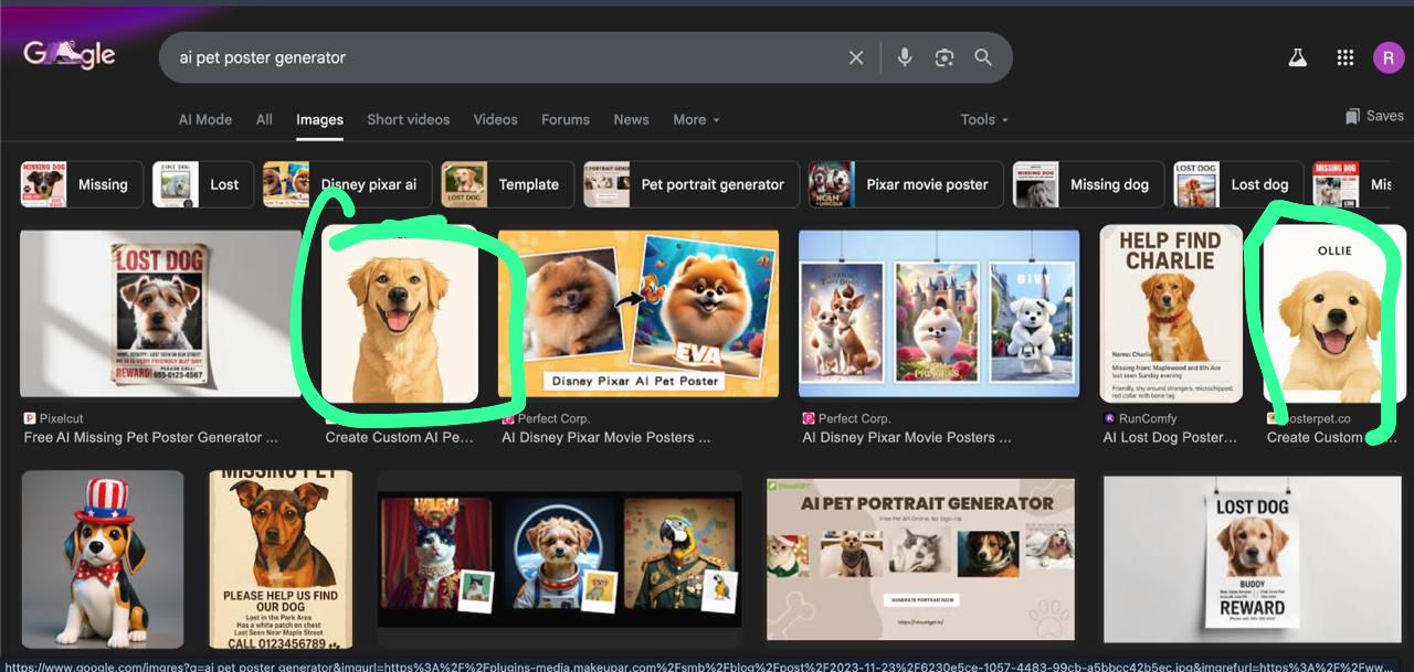 Google Images ranking proof